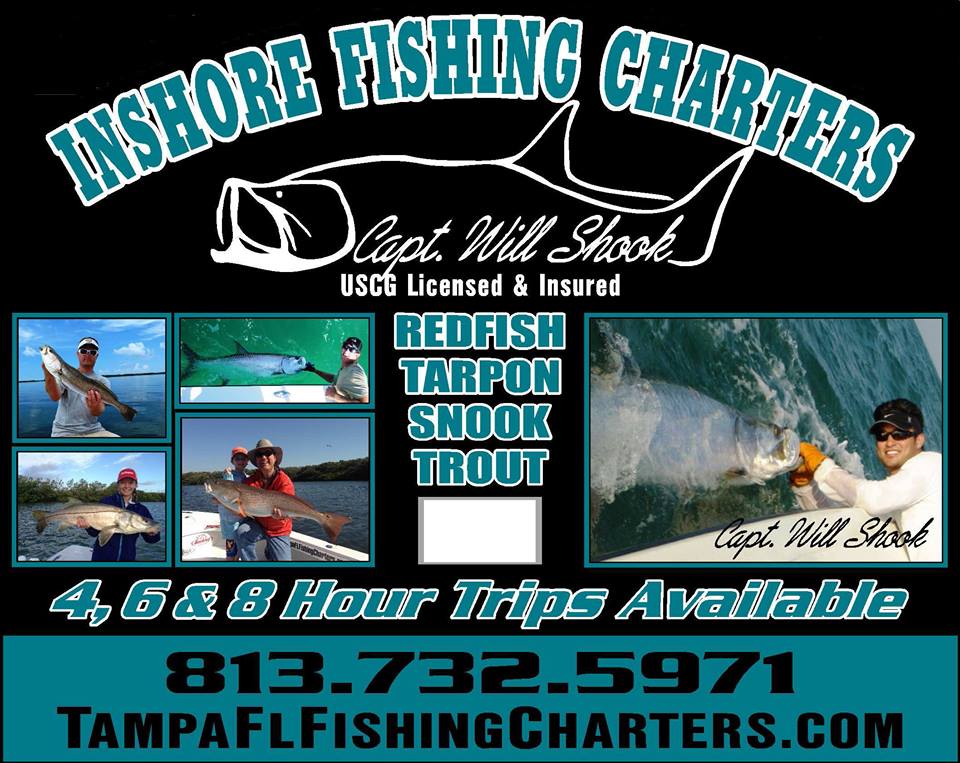 Capt. Will Shook Tampa Fishing Charters